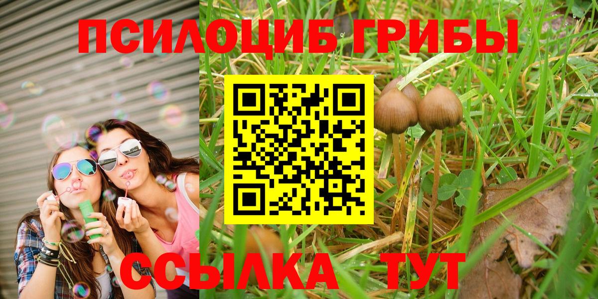 где найти   Вход с VPN  Ангарск  Псилоцибиновые грибы MAGIC MUSHROOMS 
