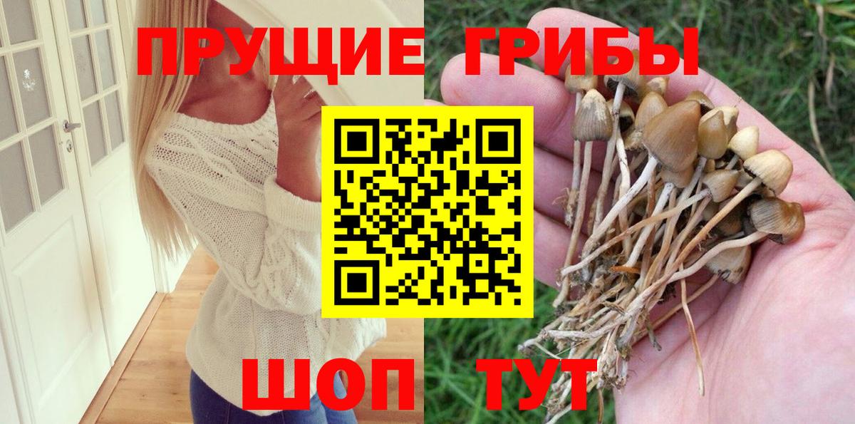 Псилоцибиновые грибы GOLDEN TEACHER Ангарск